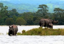 Guwahati: The emerging tech hub of North East