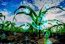 STPI launches Open Challenge Program 1.0 to foster Agritech