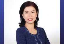 NetApp appoints Brenda Tan as new Vice President