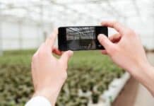 Best Agrolife Leaps Forward in Digital Transformation with SAP S/4HANA Greenfield Implementation