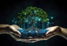 Kyndryl and Microsoft Study reveals 68% of organisations in India rely on tech to drive sustainability success, spurred by customer demand